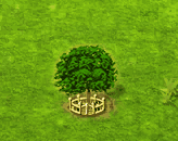 Akee 2.gif