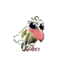 albinoCrow.png