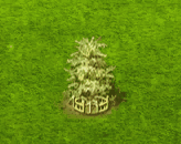 albinoredwood_upgrade_2.gif