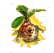 Alraune.png