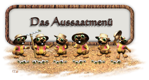 Am Banner.png