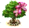 amherstiaupgrade1[1].png