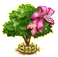 amherstiaupgrade2[1].png