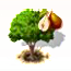 Anjoubirne.png
