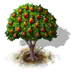 Anjoubirnenbaum.png