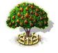 Anjoubirnenbaum xxl.png