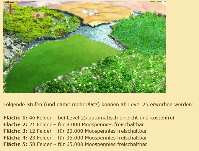 Anzahl Felder Ziergarten.jpg