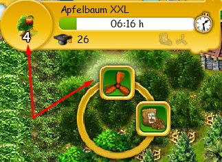 Apfelbaum und 4 Früchte.jpg