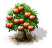 apple_Icon.png