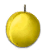 apricot_yellow_yield.png