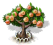 Aprikosenbaum xl.png
