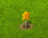 aspen_upgrade_0.gif
