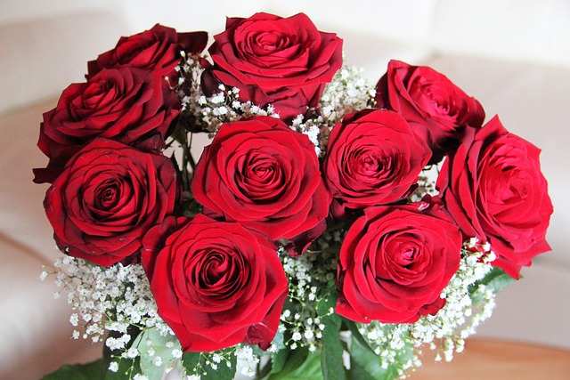 assy-bouquet-of-roses-1336993_640.jpg