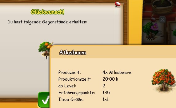Atlasbaum bei der Baumbola.jpg