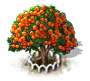 Atlasbaum xl.png