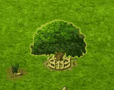 Atlasbaum XXL.gif