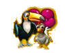 Aufgabe Vögel.png
