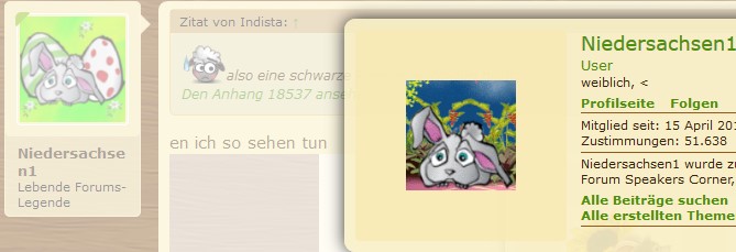 Ava Niedersachsen.jpg