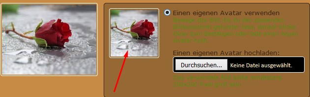 Avatar im Forum verschieben.jpg