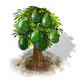 avocado_Icon.png