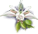 B8g1MmO[1].png