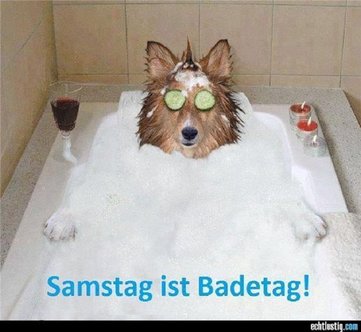 Badetag.jpg