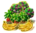 bahacontentmar2018offerM[1].png
