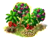 bahacontentmar2018offerS[1].png