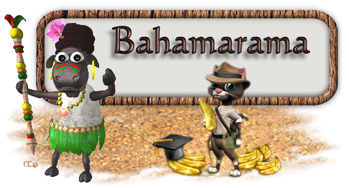 bahama banner.png