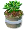 Bahamarama-Setzling Silber.png