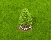 baldcypress_upgrade_1.gif