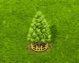 baldcypress_upgrade_2.gif