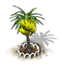 Bananenbaum xl.png