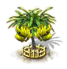 Bananenbaum xxl.png