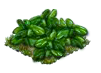 basil_Icon.png