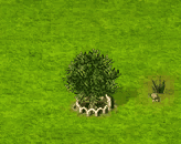 bayberry_upgrade_1.gif