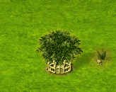 bayberry_upgrade_2.gif