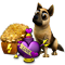 bCCLF84.png
