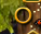 BdW10.png