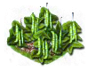 beans_Icon.png