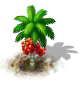 Betelpalme.png