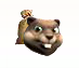 biberfutter.png