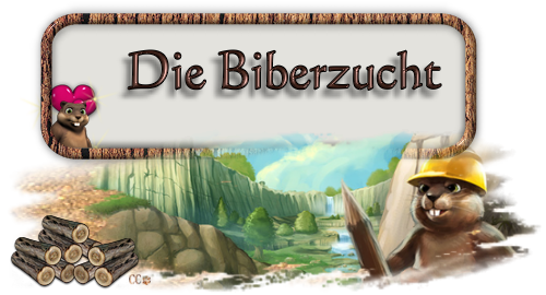 biberzuchtmej6k[2].png