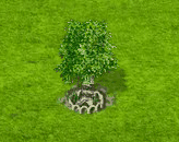 birch_upgrade_1.gif