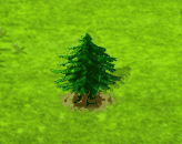 Biribábaum.gif