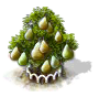 Birnbaum XL.png