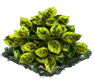 blackeye_Icon.png