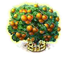 blacksapote_upgrade_2.png