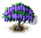 Blauregen.png