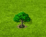 Blauregenbaum.gif